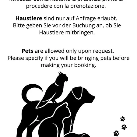 Dora * Μπιμπιόνε